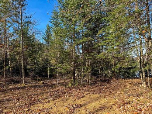 Terre/Terrain - Ch. De La Héronnière, Grenville-Sur-La-Rouge, QC 