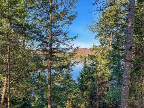 Vue sur l'eau - Ch. De La Héronnière, Grenville-Sur-La-Rouge, QC 