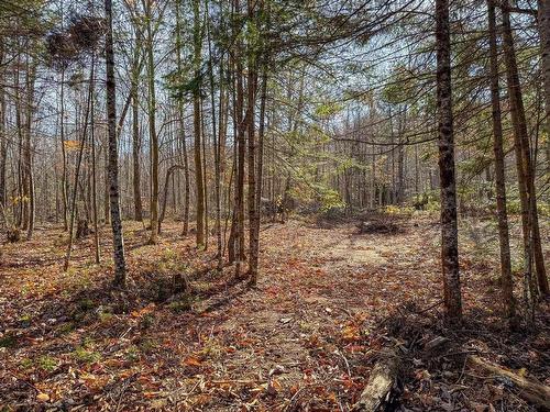 Terre/Terrain - Ch. De La Héronnière, Grenville-Sur-La-Rouge, QC 