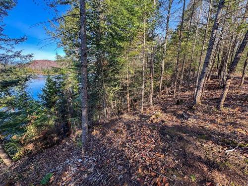 Bord de l'eau - Ch. De La Héronnière, Grenville-Sur-La-Rouge, QC 