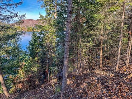 Vue sur l'eau - Ch. De La Héronnière, Grenville-Sur-La-Rouge, QC 