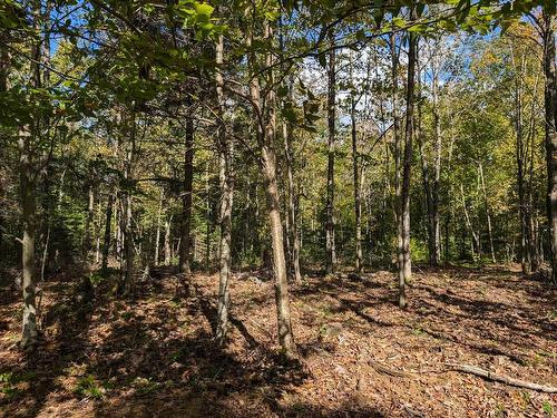 Terre/Terrain - Ch. De La Héronnière, Grenville-Sur-La-Rouge, QC 