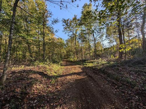 Terre/Terrain - Ch. De La Héronnière, Grenville-Sur-La-Rouge, QC 