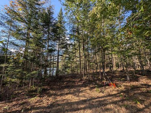 Terre/Terrain - Ch. De La Héronnière, Grenville-Sur-La-Rouge, QC 