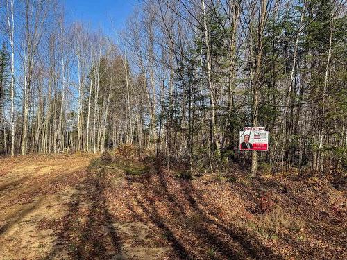 Terre/Terrain - Ch. De La Héronnière, Grenville-Sur-La-Rouge, QC 