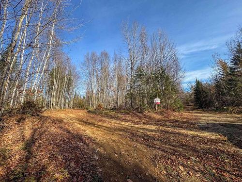 Terre/Terrain - Ch. De La Héronnière, Grenville-Sur-La-Rouge, QC 