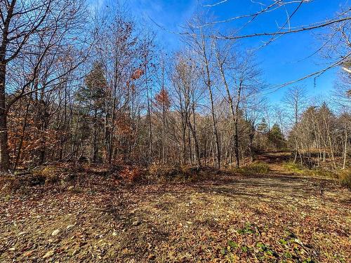 Land/Lot - Ch. Des Hérons, Grenville-Sur-La-Rouge, QC 