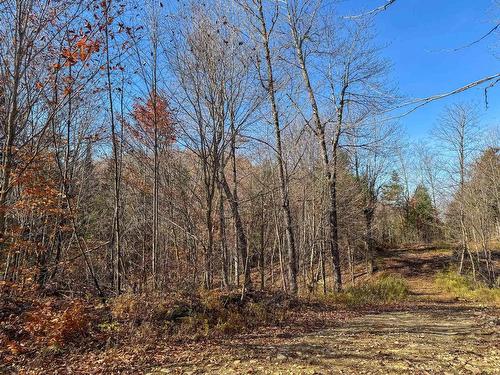 Land/Lot - Ch. Des Hérons, Grenville-Sur-La-Rouge, QC 