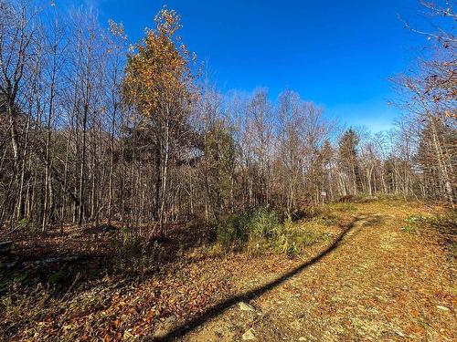 Land/Lot - Ch. Des Hérons, Grenville-Sur-La-Rouge, QC 