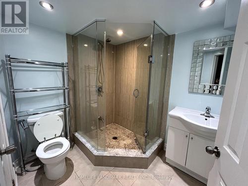 Bsmt - 3761 Partition Road, Mississauga, ON - Indoor Photo Showing Bathroom