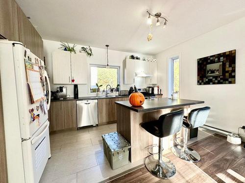 Kitchen - 2604 Rue Mountain, Val-David, QC - Indoor