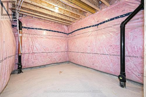 24 Gilbert Wright Avenue, Markham, ON - Indoor Photo Showing Basement