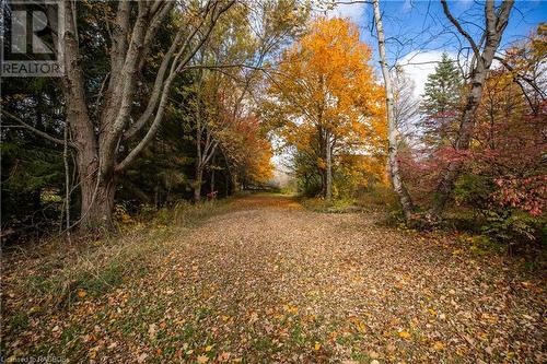 382105 Concession Road 17, Georgian Bluffs, ON - Outdoor With View