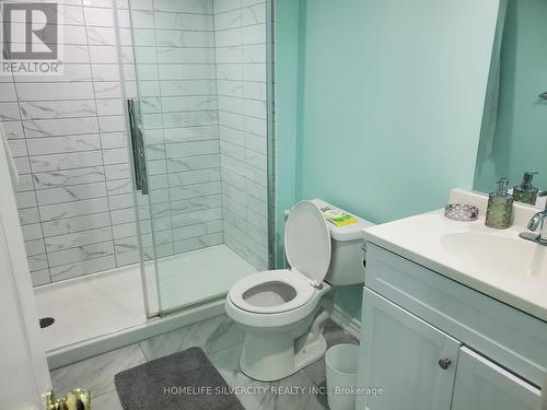 2#Bsmnt - 700 Peter Robertson Boulevard, Brampton, ON - Indoor Photo Showing Bathroom