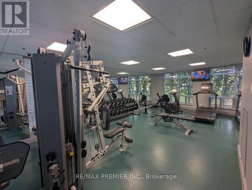 301 - 88 Palace Pier Court, Toronto, ON - Indoor Photo Showing Gym Room