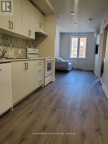 201 - 307 King Street E, Hamilton, ON - Indoor Photo Showing Kitchen