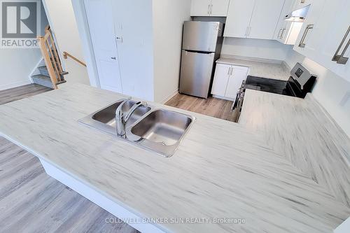 7 Roxanne Drive, Hamilton, ON - Indoor Photo Showing Kitchen With Double Sink