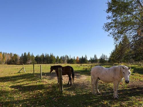 2639 Cabot Trail, Middle River, NS 