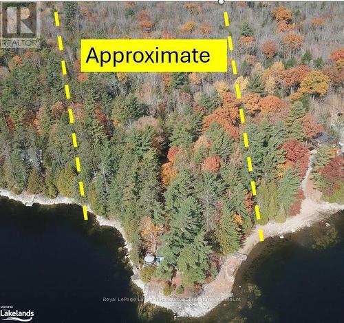 96 Pine Point Trail, Galway-Cavendish And Harvey, ON - Outdoor With Body Of Water With View