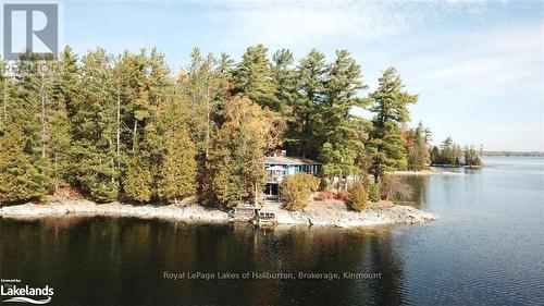 96 Pine Point Trail, Galway-Cavendish And Harvey, ON - Outdoor With Body Of Water With View