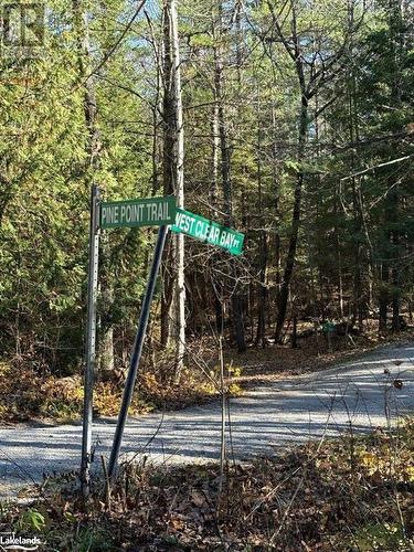 Beside 94 Pine Point Trail, Trent Lakes, ON - Outdoor With View