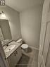 98 - 677 Park Road N, Brantford, ON  - Indoor Photo Showing Bathroom 