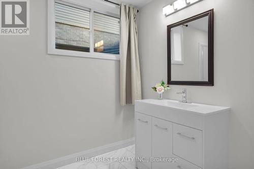 6 Connor Avenue, Strathroy-Caradoc (Ne), ON - Indoor Photo Showing Bathroom