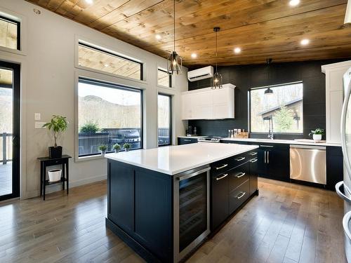 Kitchen - 110 Rue Guillaume, Magog, QC - Indoor Photo Showing Kitchen With Upgraded Kitchen