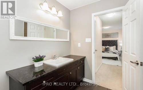 255 Cochrane Terrace, Milton, ON - Indoor Photo Showing Bathroom