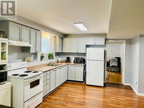 331 St. Vincent Street, Barrie, ON - Indoor Photo Showing Kitchen With Double Sink