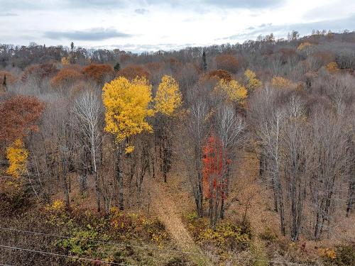 Terre/Terrain - 139  - 143 Route 309, Saint-Aimé-Du-Lac-Des-Îles, QC 