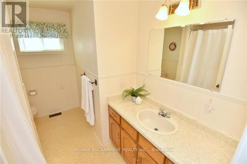 49 Nellida Crescent, Hamilton, ON - Indoor Photo Showing Bathroom