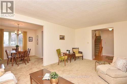 49 Nellida Crescent, Hamilton, ON - Indoor Photo Showing Living Room