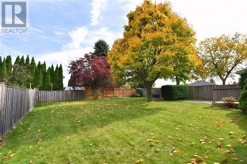 49 Nellida Crescent, Hamilton, ON - Outdoor With Backyard