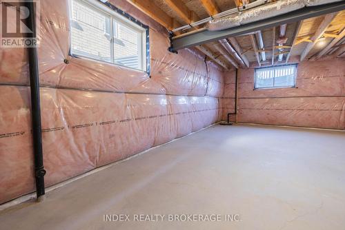 5 - 29 Schuyler Street, Brant, ON - Indoor Photo Showing Basement