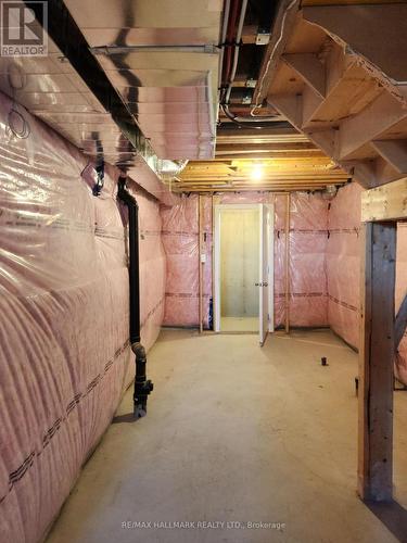 1339 Broderick Street, Innisfil, ON - Indoor Photo Showing Basement