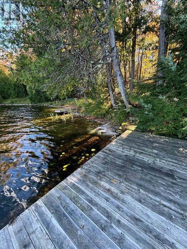 8 Cannonball Lane, Minden Hills, ON - Outdoor With Body Of Water