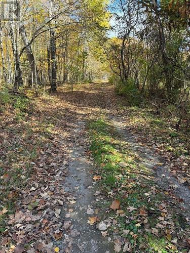 8 Cannonball Lane, Minden Hills, ON - Outdoor With View