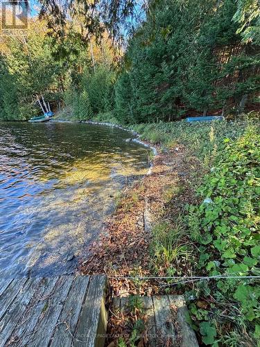 8 Cannonball Lane, Minden Hills, ON - Outdoor With Body Of Water