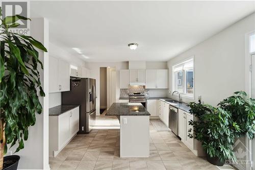 503 Ponthieu Circle, Ottawa, ON - Indoor Photo Showing Kitchen With Double Sink With Upgraded Kitchen