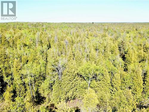 Invest in the Bruce Peninsula. - 30 Pike Street, Northern Bruce Peninsula, ON 