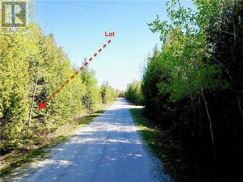 Fully maintained year round road with weekly curbside garbage and recycling pick up too. - 30 Pike Street, Northern Bruce Peninsula, ON 