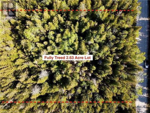 Flat, well treed building lot. - 30 Pike Street, Northern Bruce Peninsula, ON 