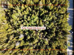 Flat, well treed building lot. - 