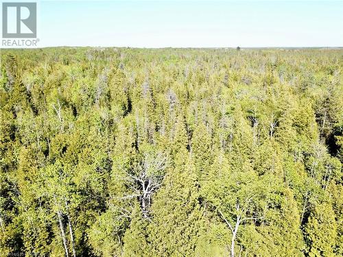 Lot backs onto acres and acres of forest. - 30 Pike Street, Northern Bruce Peninsula, ON 