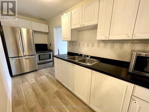 10 William Street, Brant, ON - Indoor Photo Showing Kitchen With Double Sink