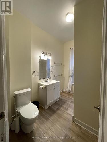 10 William Street, Brant, ON - Indoor Photo Showing Bathroom