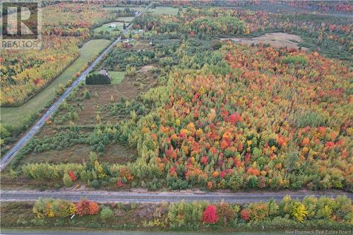 Lot Grangeville Road, Harcourt, NB 