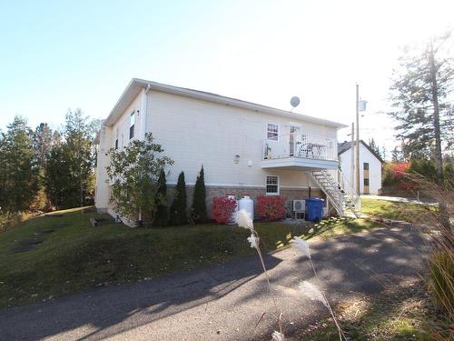 Back facade - 2-490 Rue De La Colline, Sainte-Adèle, QC - Outdoor