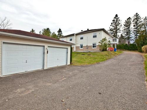 Overall view - 2-490 Rue De La Colline, Sainte-Adèle, QC - Outdoor